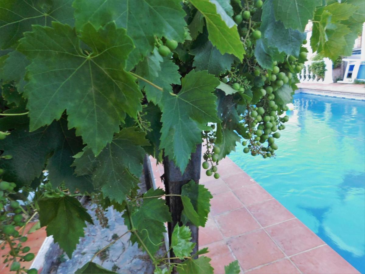Bungalow Marbella Exteriér fotografie